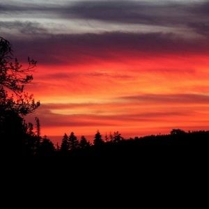 Meet your Posher, Marmar